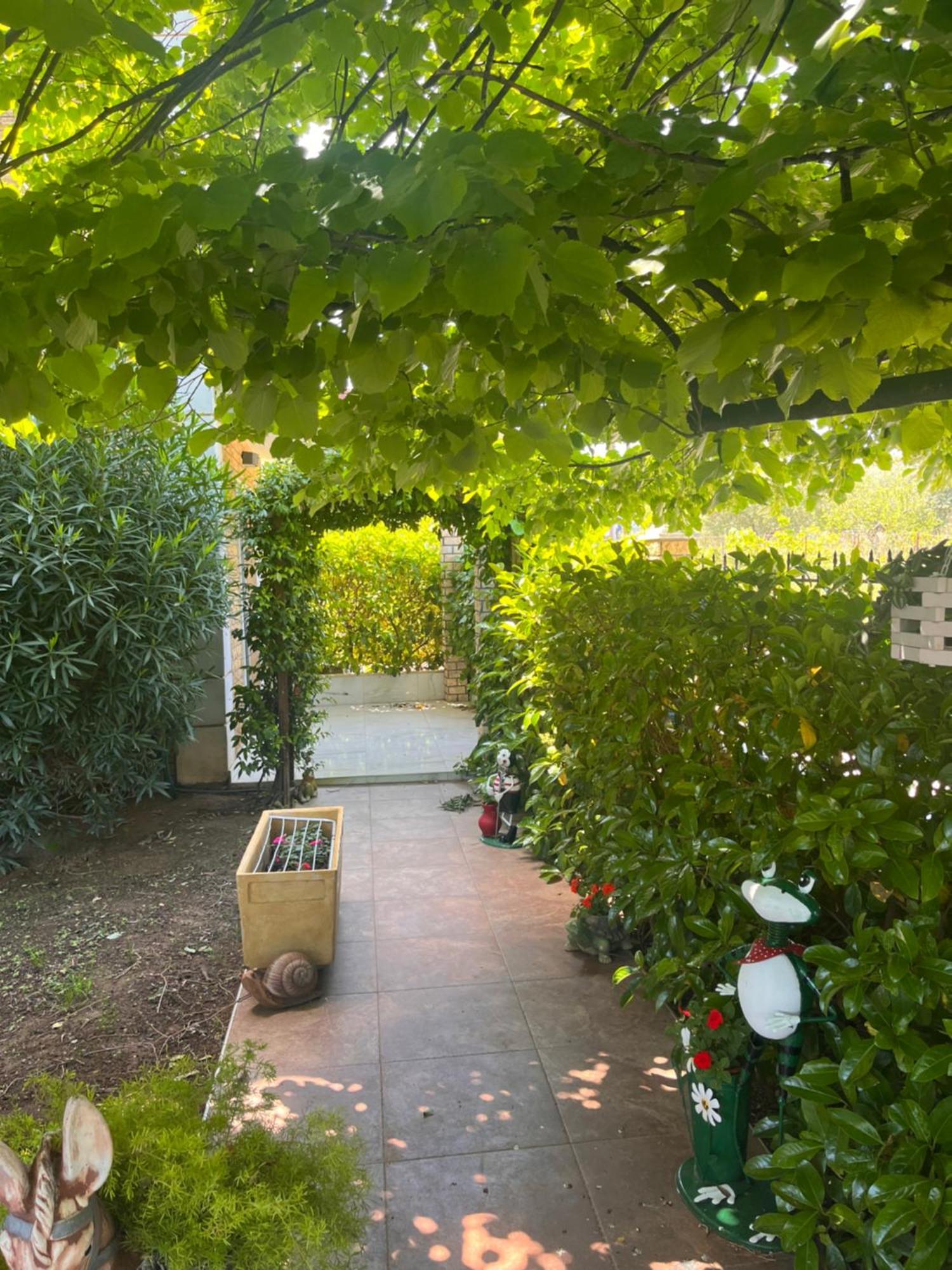 Alrose Apartment Limenaria  Bagian luar foto